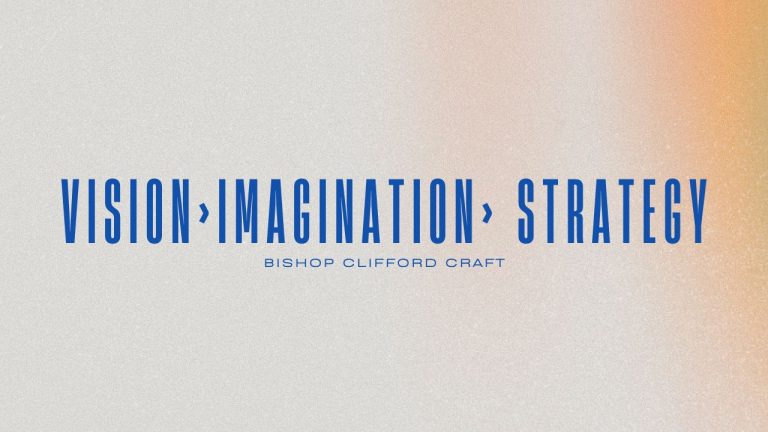 Read more about the article Vision Imagination Strategy