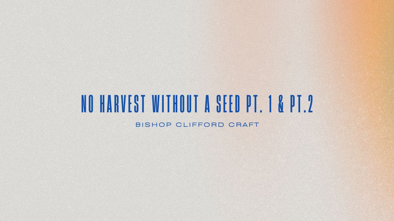 Read more about the article No Harvest Without a Seed Pt. 1